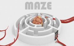 Img_small-maze-7